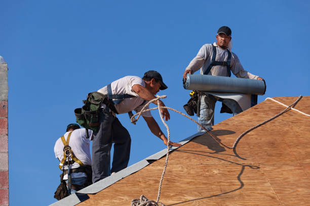 Best Gutter Installation and Roofing  in Wheelersburg, OH